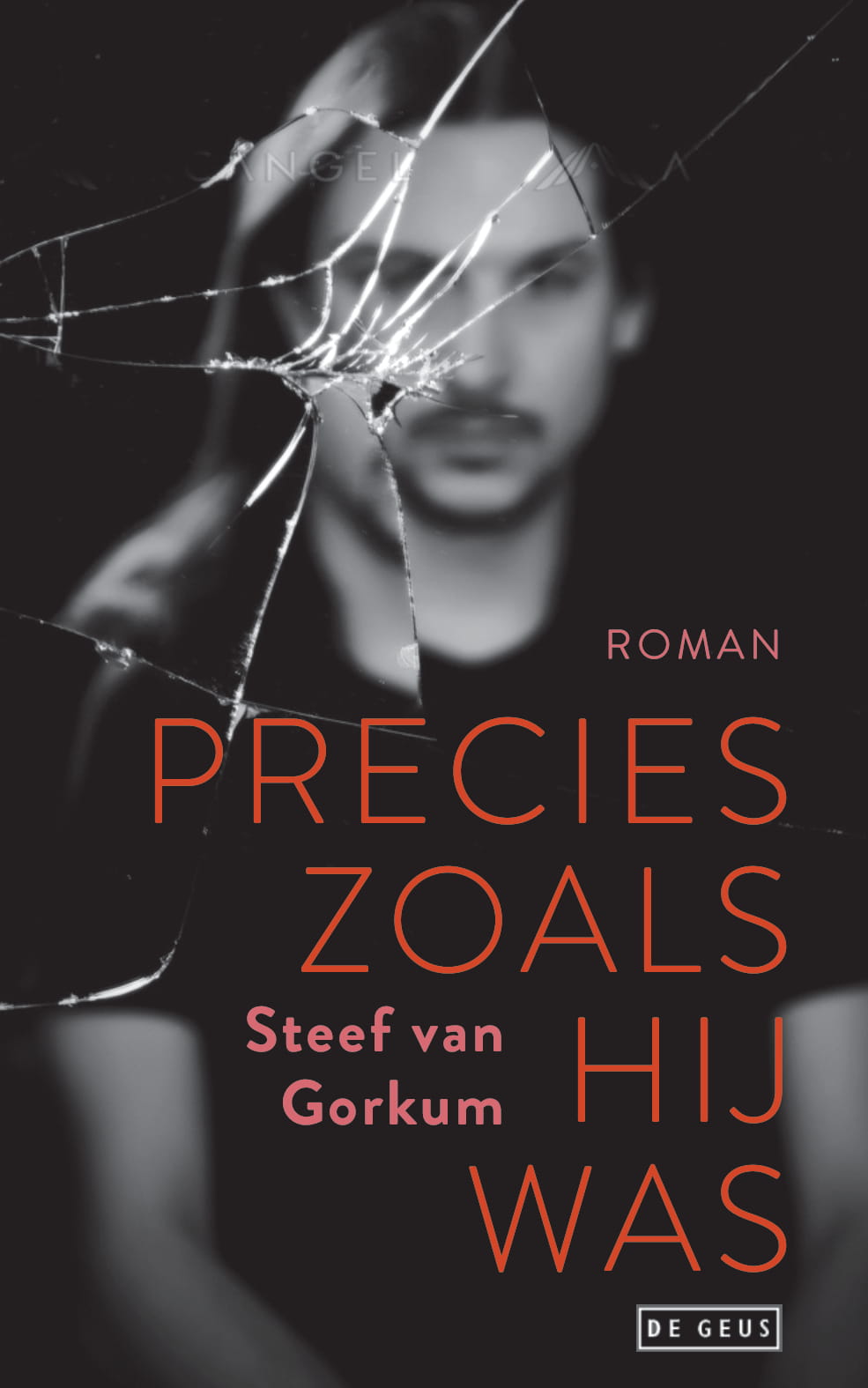 Precies Zoals Hij Was (roman)